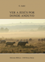 Ver a Jesús por donde anduvo