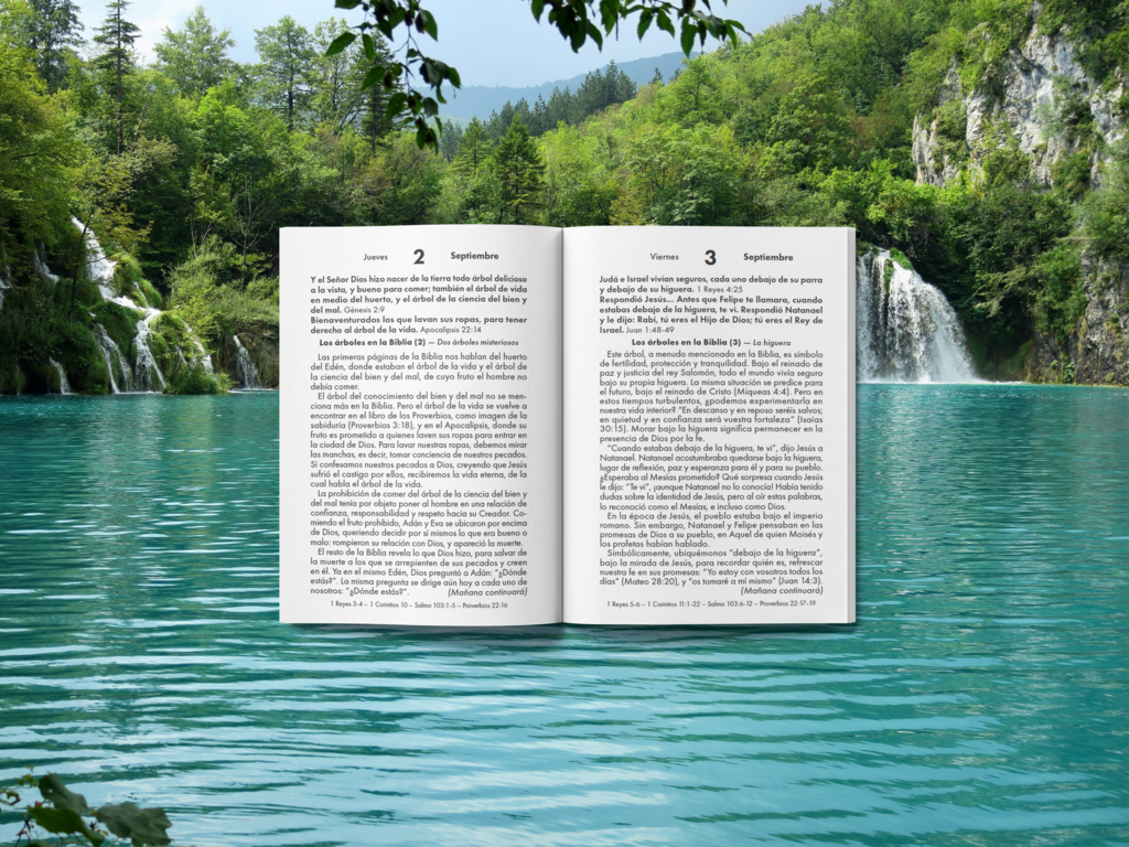 interior_libro
