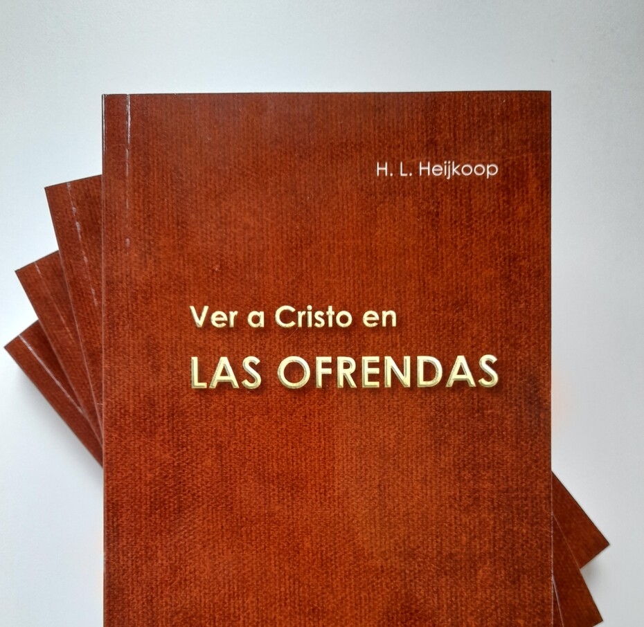 Ver a Cristo